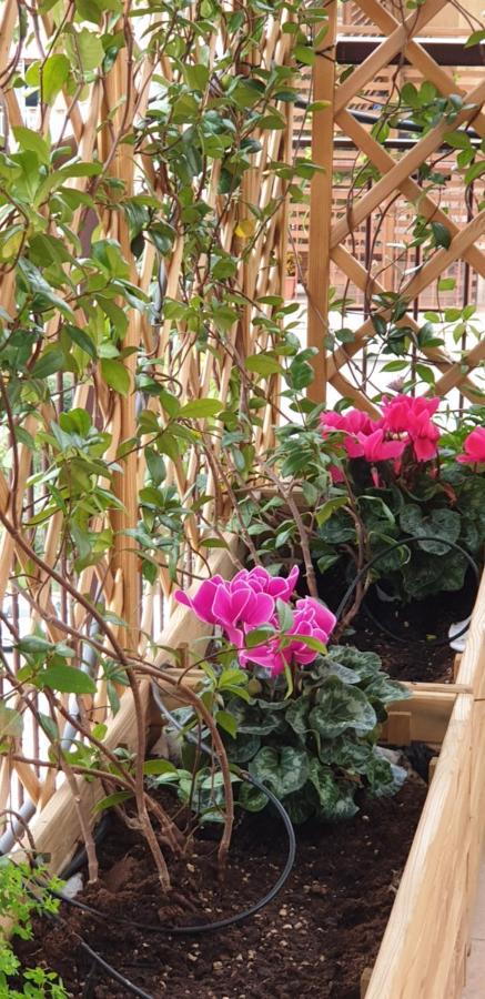 Bed and Breakfast In Terrazza Da Giusy Рим Экстерьер фото