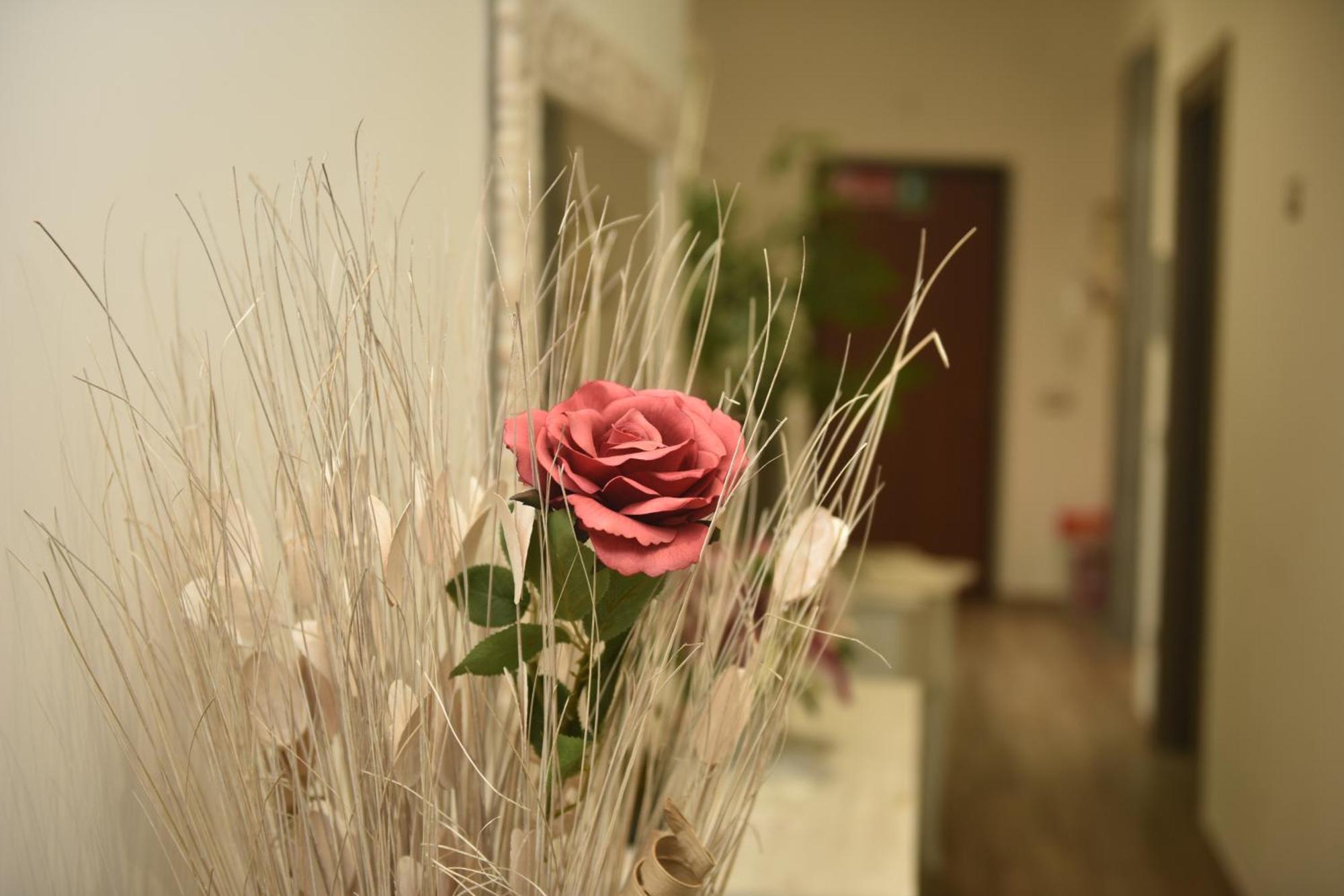 Bed and Breakfast In Terrazza Da Giusy Рим Экстерьер фото